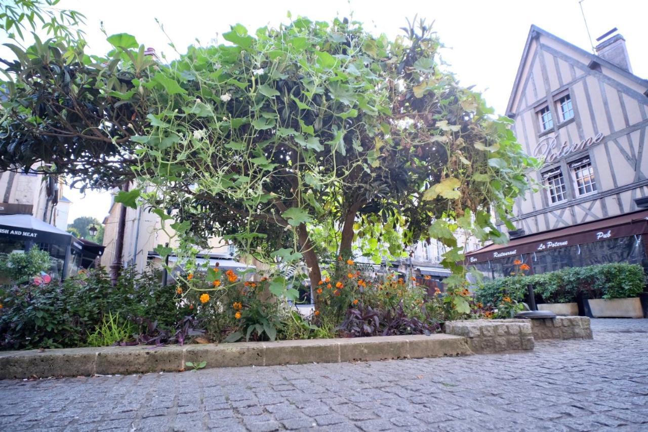 شقة Le Perroquet Fringant, Rue Pietonne Et Quartier Historique كان المظهر الخارجي الصورة